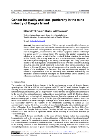 Gender inequality and local patriarchy in the mine industry of Bangka Island